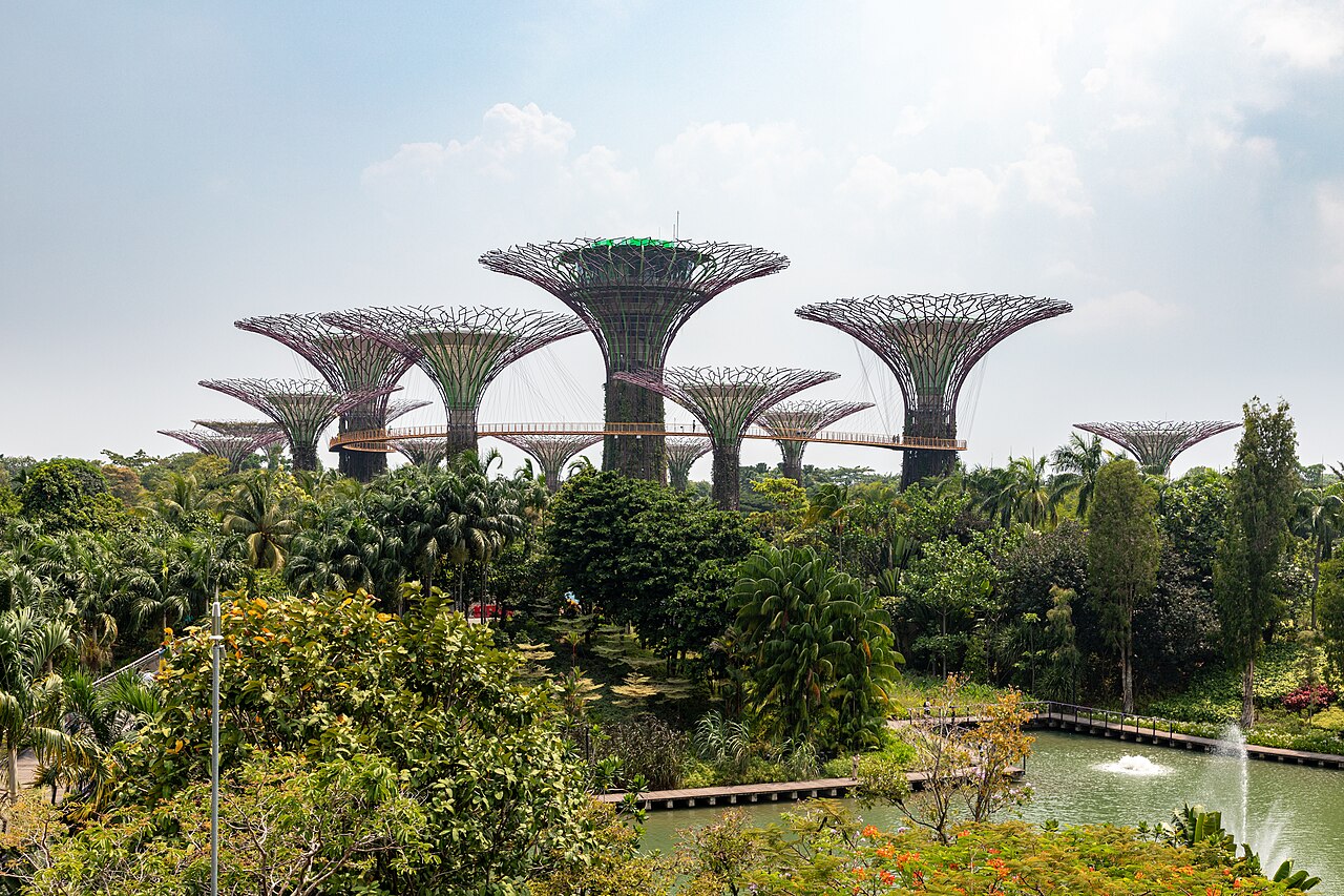Supertree Grove with Marina Bay Sands behind